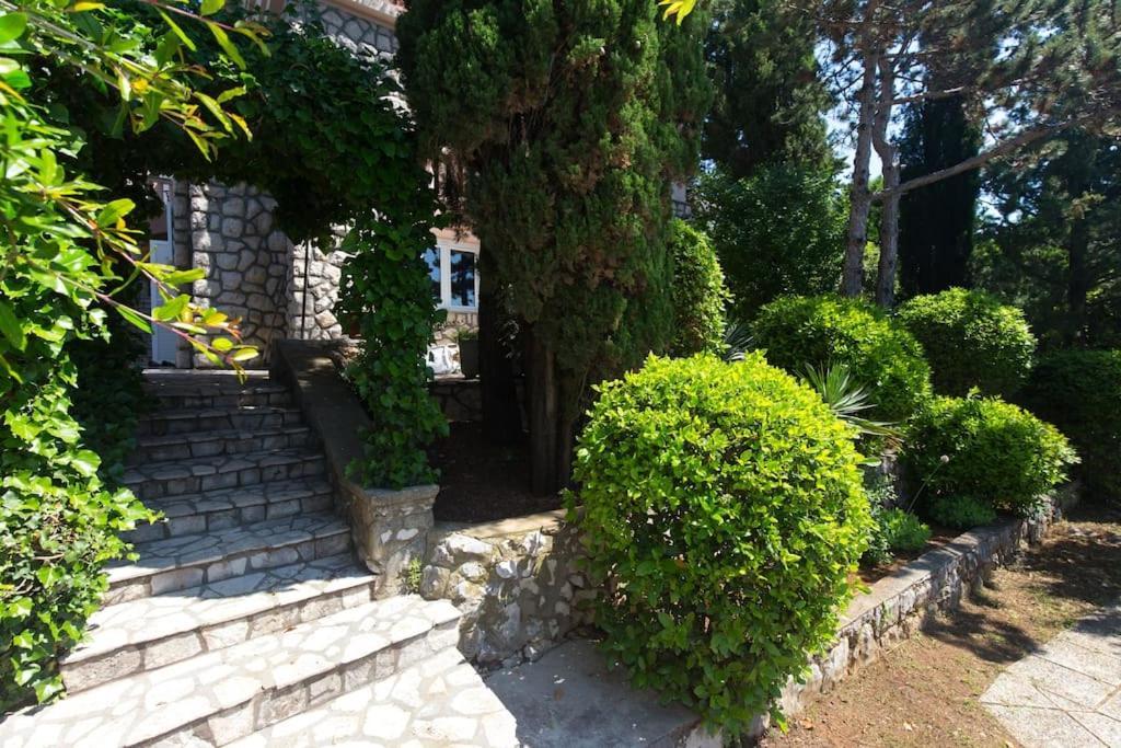 Villa Stefi Novi Vinodolski Kültér fotó